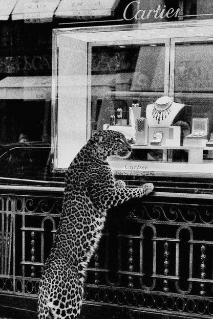 Cartier Panther