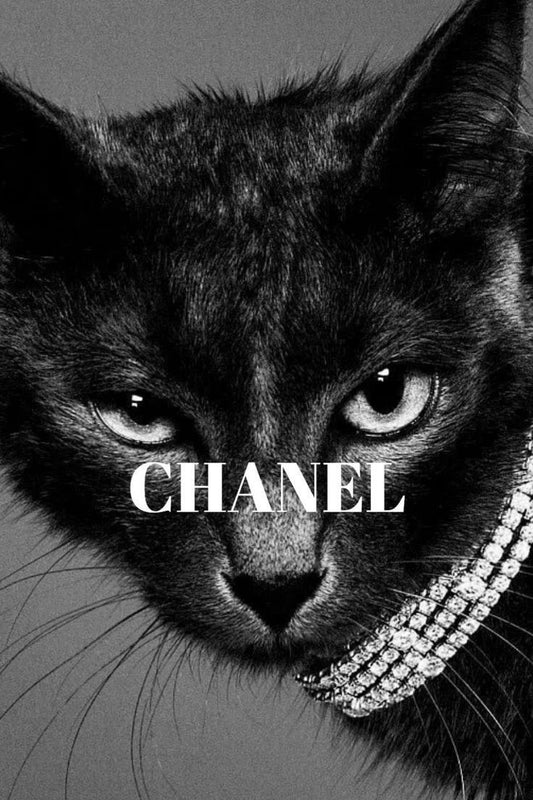 Chanel Cat