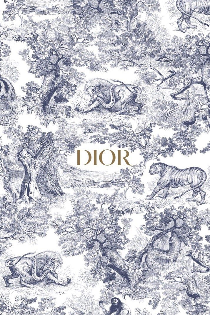 Dior Blue Wall