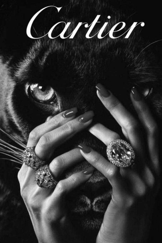 Cartier Cat
