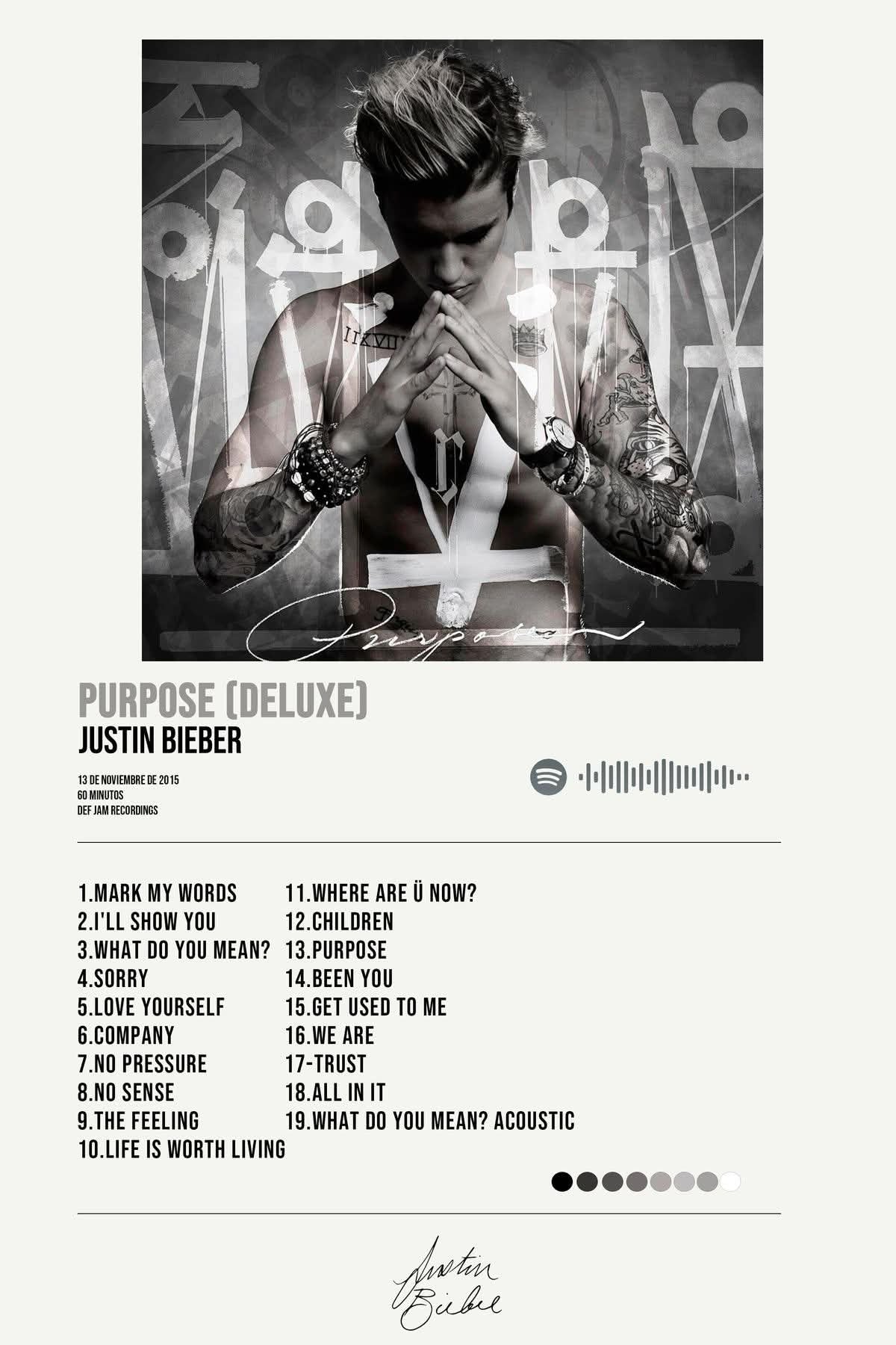 Purpose Juntin Bieber